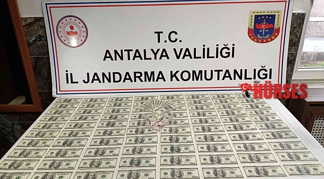 Antalya'da sahte dolar operasyonu: 2 gözaltı