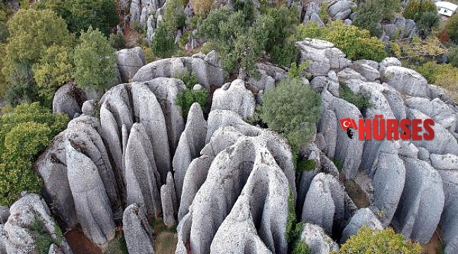 'Avatar Diyarı'nda spreyli aşk yazısı