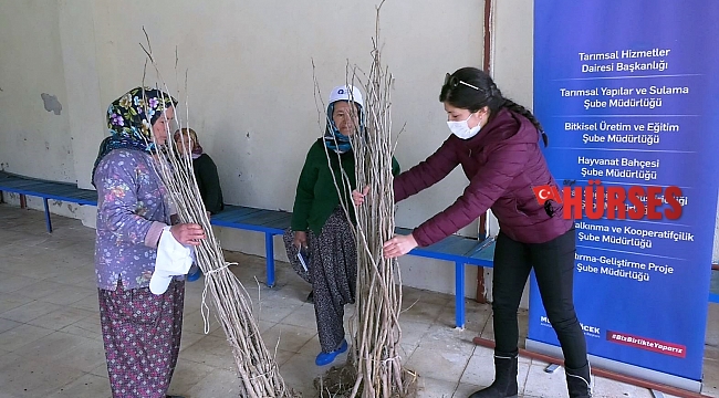 Büyükşehir'den ipekböceği yetiştiricilerine destek