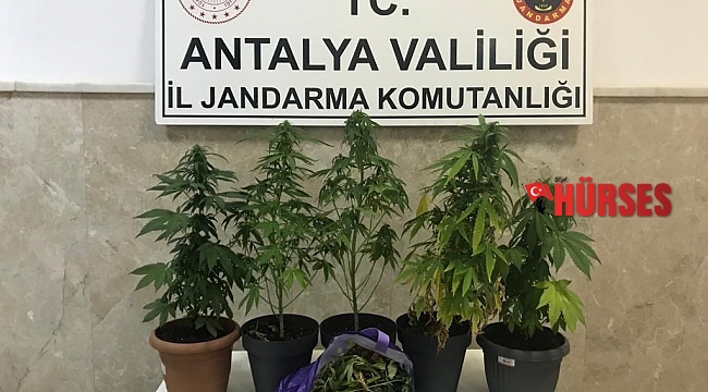 Evde uyuşturucu imal eden 2 şüpheli yakalandı