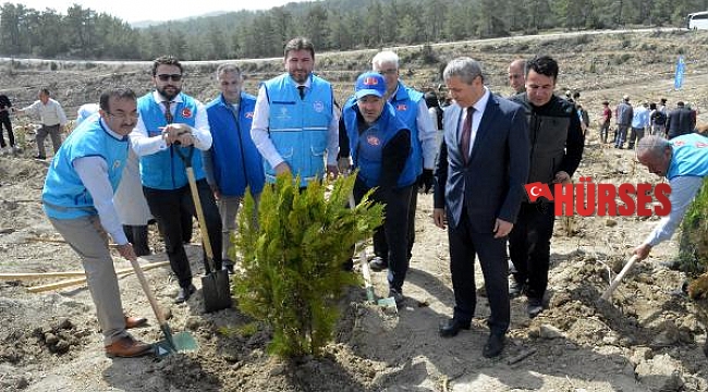Gurbetçilerden Manavgat'a 250 bin fidan bağışı