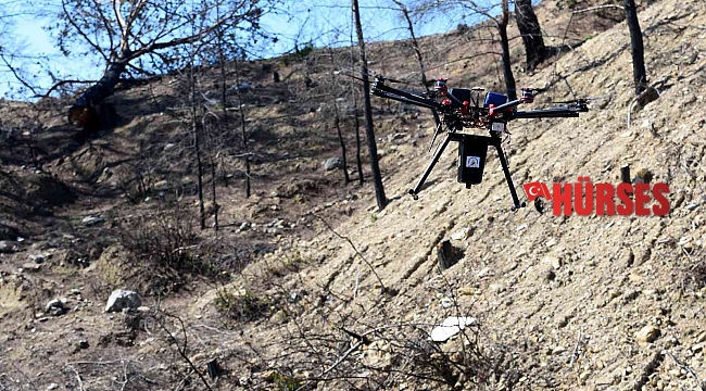 Muratpaşa, Manavgat'ta drone ile 15 kilogram tohum attı