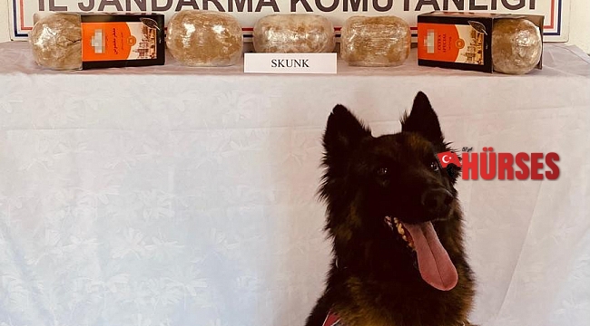 Yolcu otobüsünde uyuşturucu bulundu