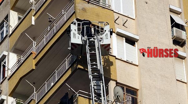 12'nci kattan 11'inci kata düşen 'Miço' itfaiye tarafından kurtarıldı