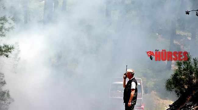 4 ilde 5 bin kişiyle 'Türkiye'nin en büyük orman yangını tatbikatı' gerçekleştirildi