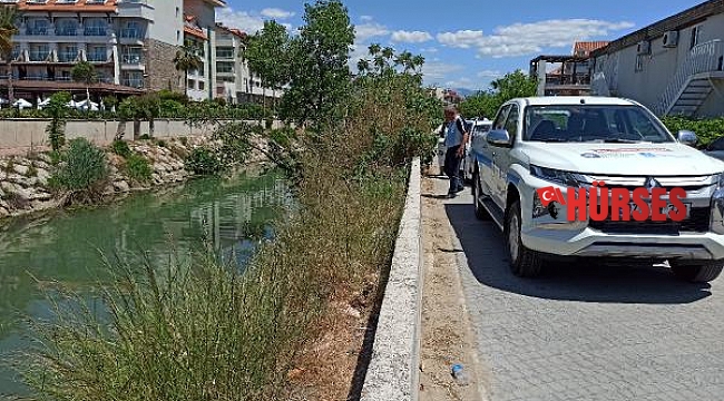 Akdeniz'de müsilaj raporu: Antalya sahilleri ve iç sular temiz