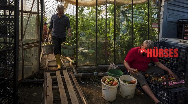 Alanya Belediyesi 16'ncı Uluslararası Fotoğraf Yarışması sonuçlandı
