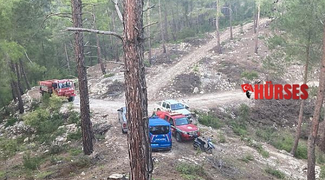 Alanya'da ormanlık alanda yangın