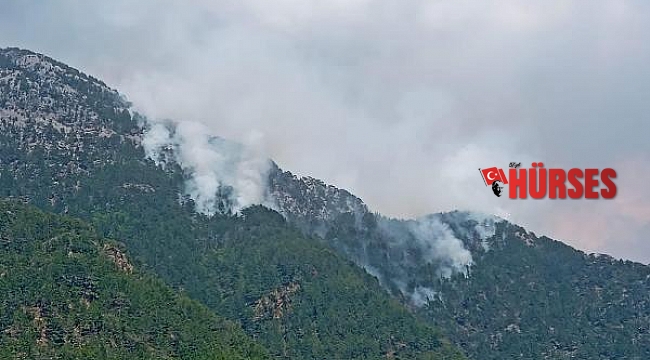 Alanya'daki orman yangını kontrol altında