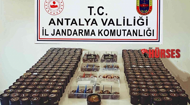 Antalya'da 268 paket kaçak nargile tütünü ele geçirildi
