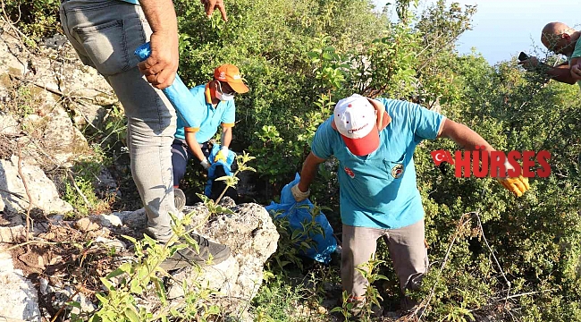 Antalya'da iki sokak köpeği ölü bulundu