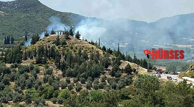 Antalya'da orman yangını büyümeden söndürüldü