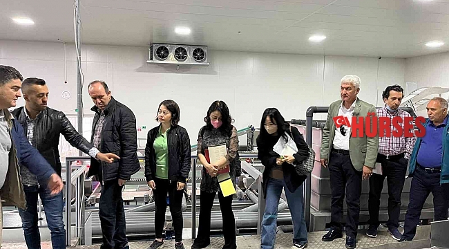 BAİB'den Güney Kore'ye kiraz ihracatı çalışmaları