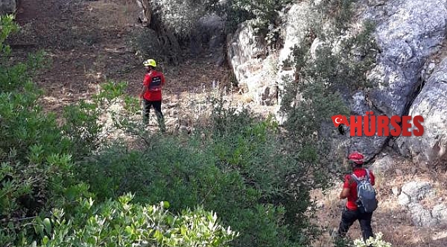 Bodrum'da kayıp kadın ormanda bulundu