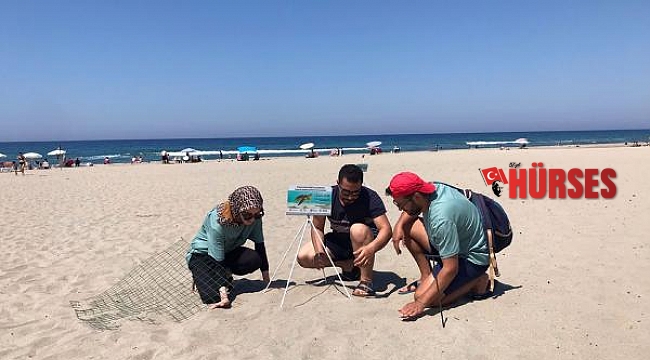 Caretta caretta yasağı; 3 sahile gece girmenin cezası 109 bin TL