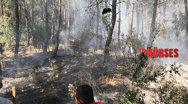 Çocukların oynadığı maytaplar, yangın çıkardı