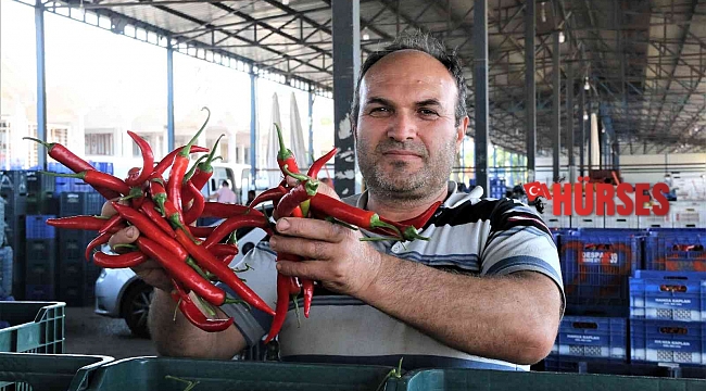 Havaların ısındığı Antalya halinde sebze fiyatları geçen haftalara göre yarı yarıya düştü