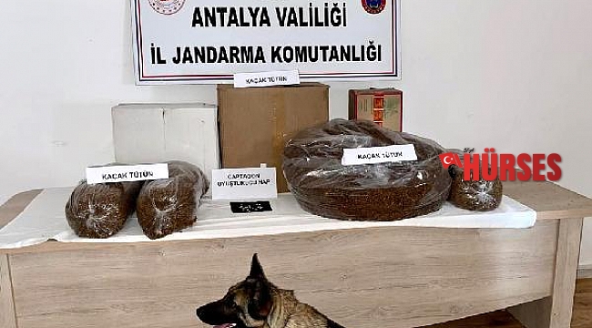 Jandarmadan kaçak tütün baskını