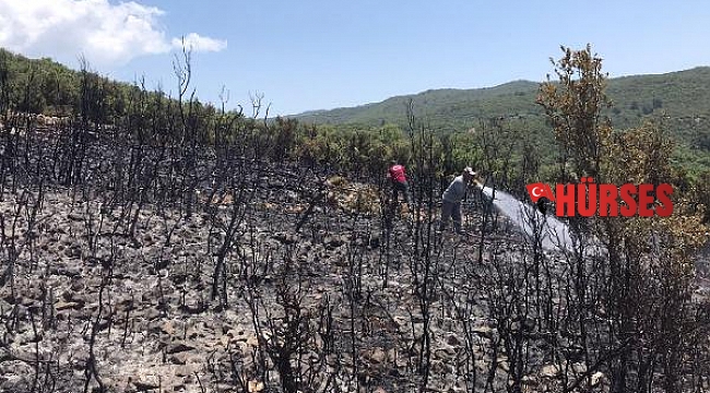 Kaş'ta makilik yangını