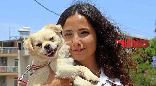 Marketteki köpeğe sebepsiz yere tekme attı, kamera kaydını izleyen genç kadının ağzı açık kaldı