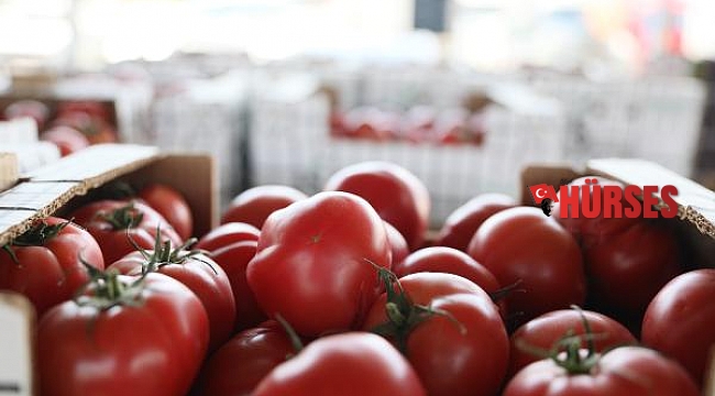 Rusya kapıları açtı, yaş meyve sebze ihracatı hareketlendi