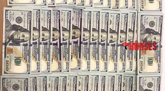Sahte ABD doları operasyonu:1 tutuklama