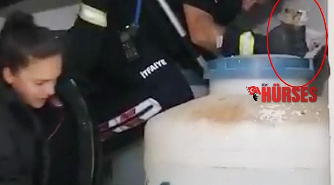 Su tankları arasında sıkışan kedi için seferber oldular
