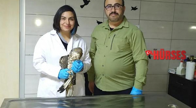 Yaralı hayvanlar korumaya alındı