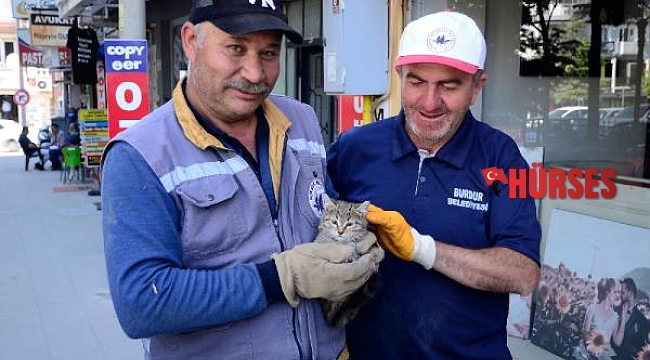 Yavru kediyi temizlik personeli kurtardı