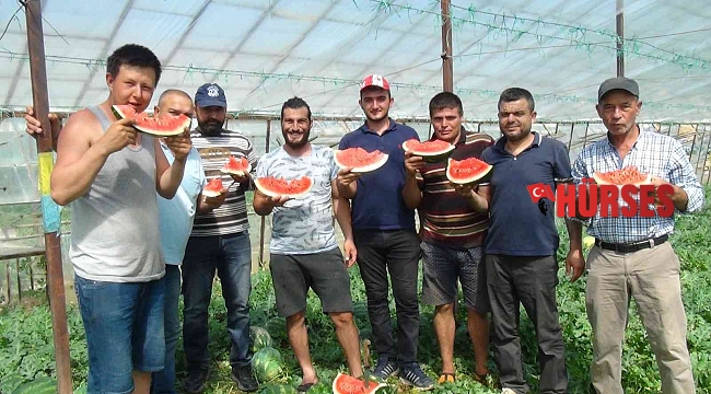 Yaz aylarının sevilen meyvesi karpuzda geç hasat dönemi başladı
