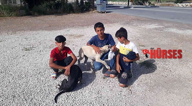 Antalya'da çocuklardan yürek ısıtan davranış