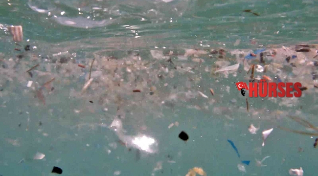 Deniz canlılarının en büyük düşmanı 'Mikroplastikler'