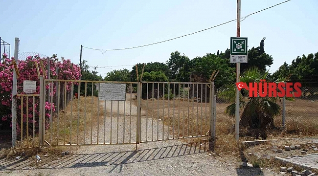 Gençler saha bulamazken terk edilen stadı kurumuş ot ve dikenler kapladı