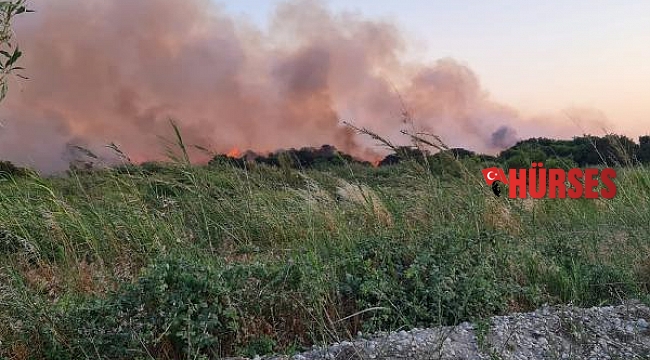 Kaş'ta iki noktada çıkan yangınlar söndürüldü