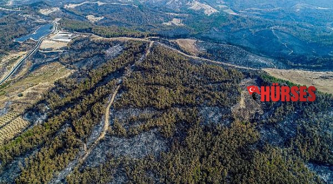 Manavgat yangın alanında iş makineleriyle ağaç kesimi tahribata yol açıyor