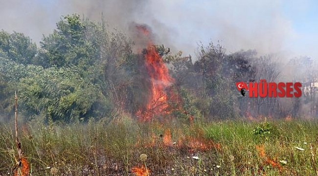 Otluk ve kargılık alandaki yangın, mahallelilin desteği ile söndürüldü