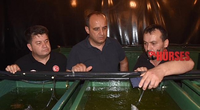 Sarıağız üretilip, ekonomiye kazandırılacak
