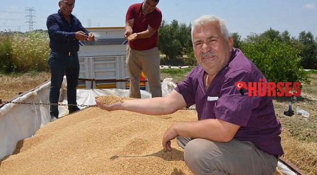 Serik'te buğday rekoltesi üreticinin yüzünü güldürdü
