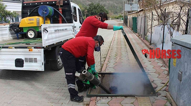 Sineksiz yaz için yoğun mücadele