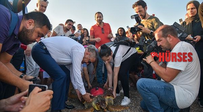 1.5 yıl tedavi gören caretta 'Lara', uydu cihazıyla dalgalarla buluştu