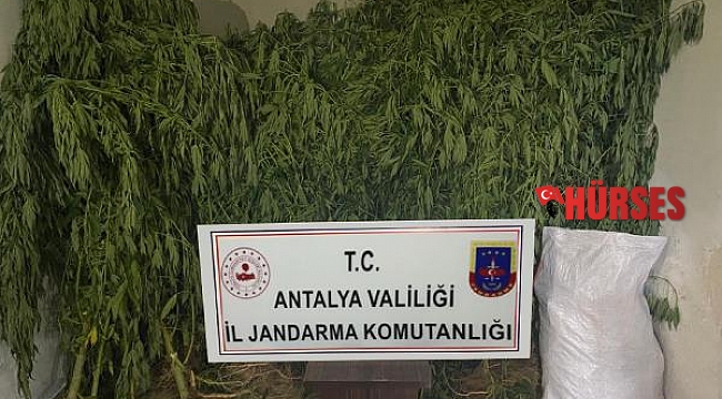 Elmalı'da uyuşturucu operasyonu