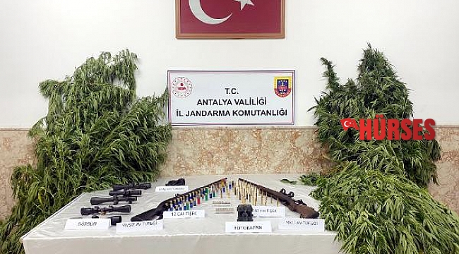 Jandarmadan İbradı'da uyuşturucu operasyonu