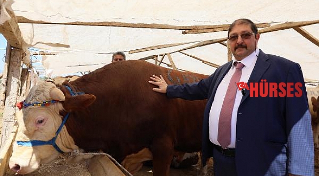 Kurban pazarları, ulaşım giderine yenik düştü