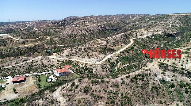 Manavgat, büyük yangının birinci yılında hayata dönüyor