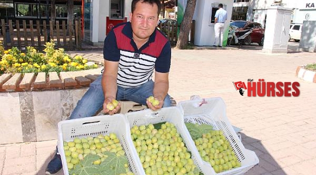 Turfanda Melli inciri 50 lira