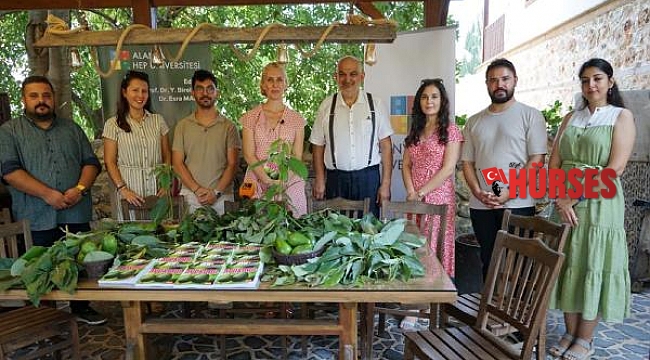 Akademisyenler, avokadonun kitabını yazdı