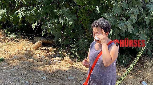 Antalya'da 20 köpeğin zehirlendiği ihbarı