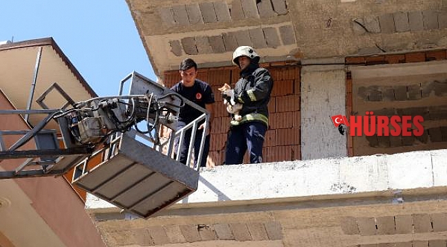 İnşaatta mahsur kalan kediyi itfaiye kurtardı
