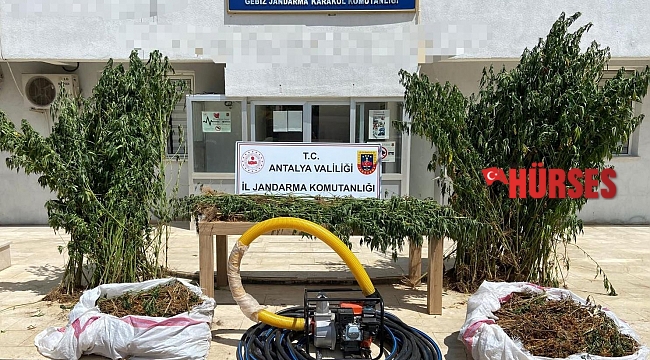 Jandarma 16 kilogram esrar ele geçirdi