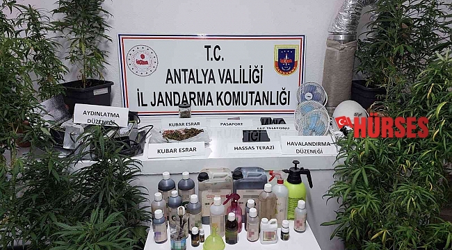Kumluca'da jandarmadan uyuşturucu operasyonu